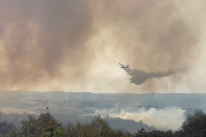 Çanakkale'de neler oluyor? Yangın yeniden alevlendi