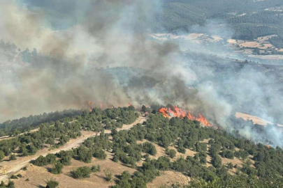 Bursa’daki yangına hava müdahalesi devam ediyor