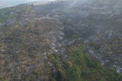 Bursa Büyükşehir’den orman yangını açıklaması