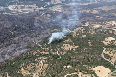 Bursa’daki yangın tekrar başladı