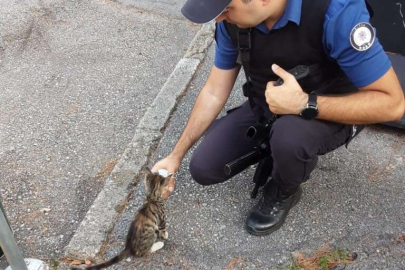 Bursa’da yeni doğan kedi, polis merkezinin maskotu oldu