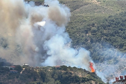 Hatay’da orman yangını