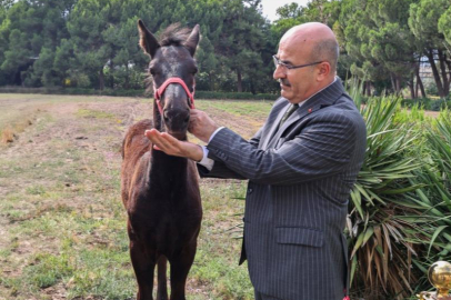 Vali Demirtaş’tan Askeri Veteriner Okulu’na ziyaret