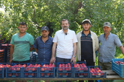 Bursa Şeftalisi’ne Avrupa’dan tescil müjdesi