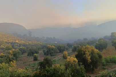 Adana’da orman yangını