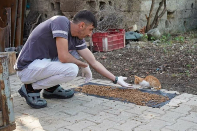 Orhangazi’den sokak hayvanlarına can suyu