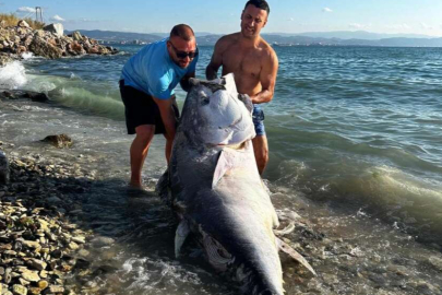 Marmara’da 2 dalgıç, 320 kilogram orkinos avladı