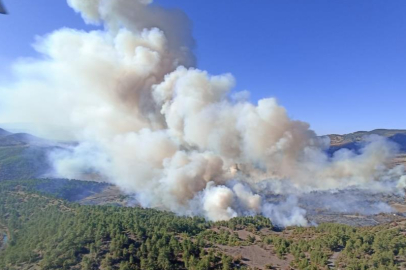 Bursa'da orman yangını: Havadan ve karadan müdahale var