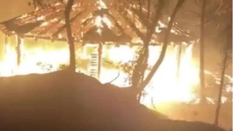 Bursa'da piknikçiler ormanı küle çeviriyordu