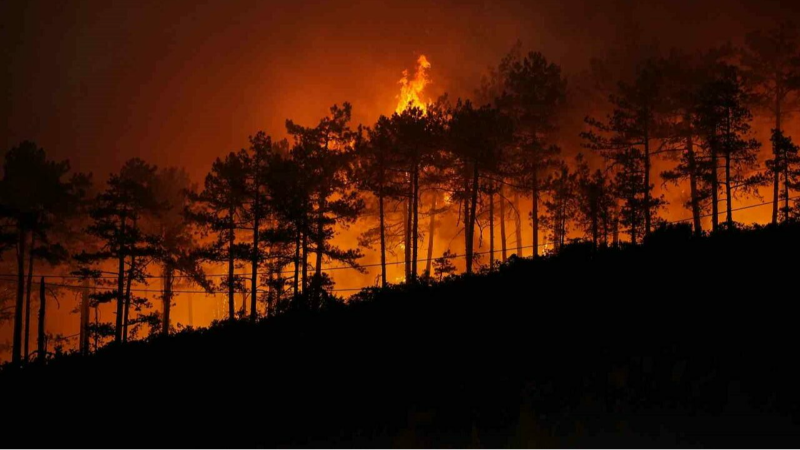 Bursa Büyükşehir: “Başımız sağ olsun”