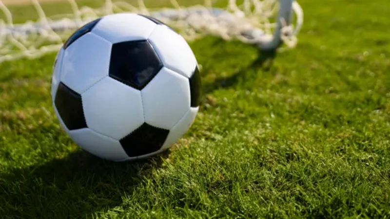 İki Bursa takımındaki 9 futbolcuya bahisten ceza!