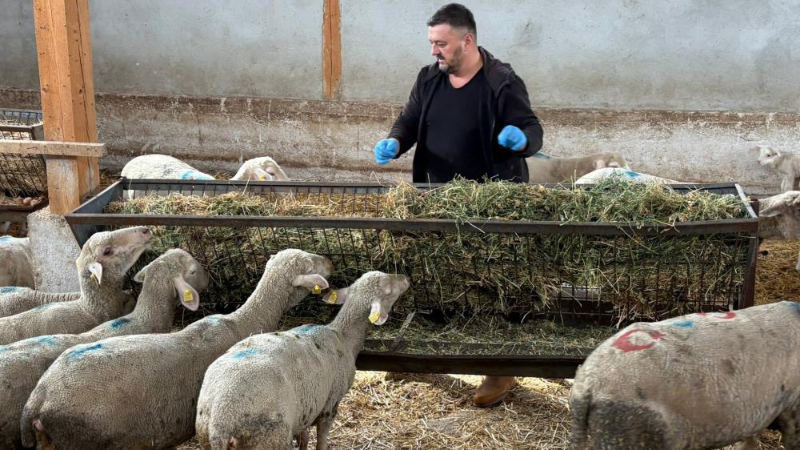 Bursa'da şap mağduru üreticiler destek bekliyor