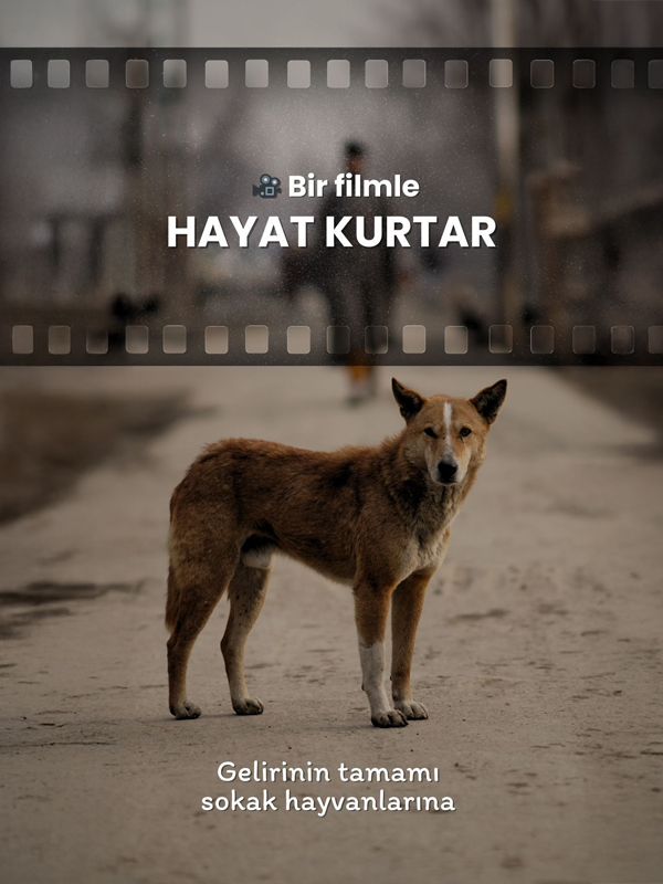 "Dünya Hayvanları Koruma Günü" film gösterimi - Haberin Doğrusu