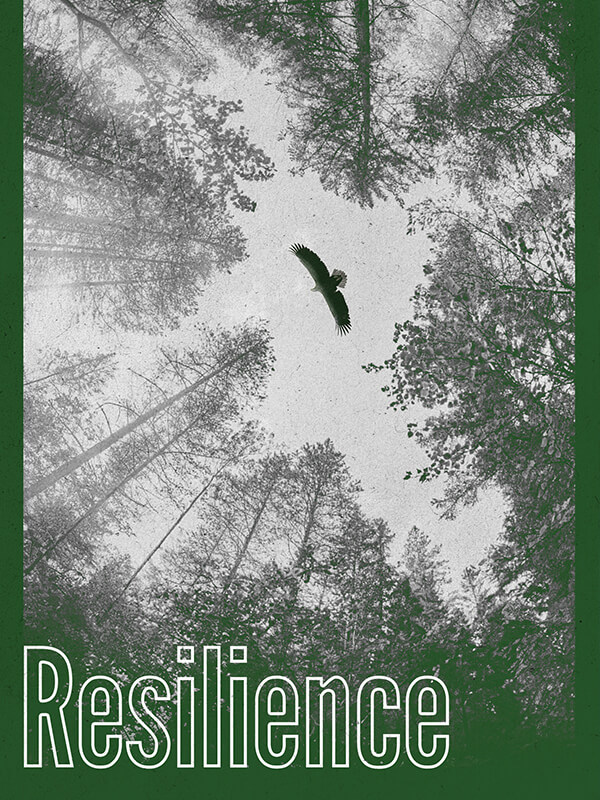 Dayanma Gücü - Haberin Doğrusu