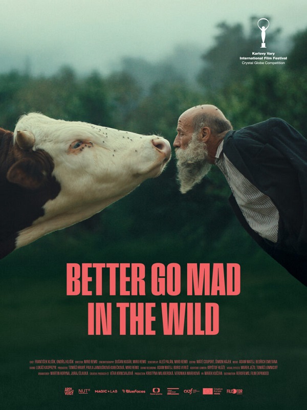 Festival - Doğada Delirmek Daha İyi - Haberin Doğrusu