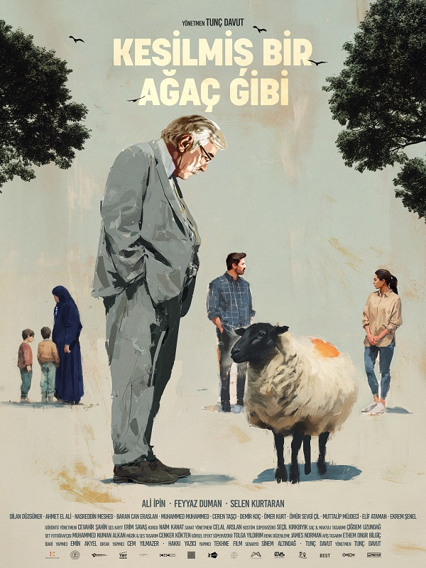 Festival - Kesilmiş Bir Ağaç Gibi - Haberin Doğrusu