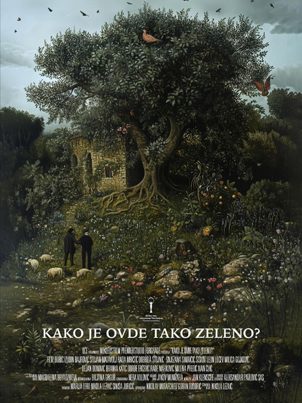 Kako je ovdje tako zeleno? - Haberin Doğrusu