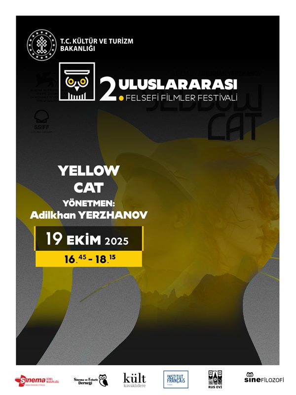 Sarı Kedi - Haberin Doğrusu