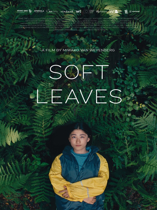 Yeşeren Yapraklar - Haberin Doğrusu